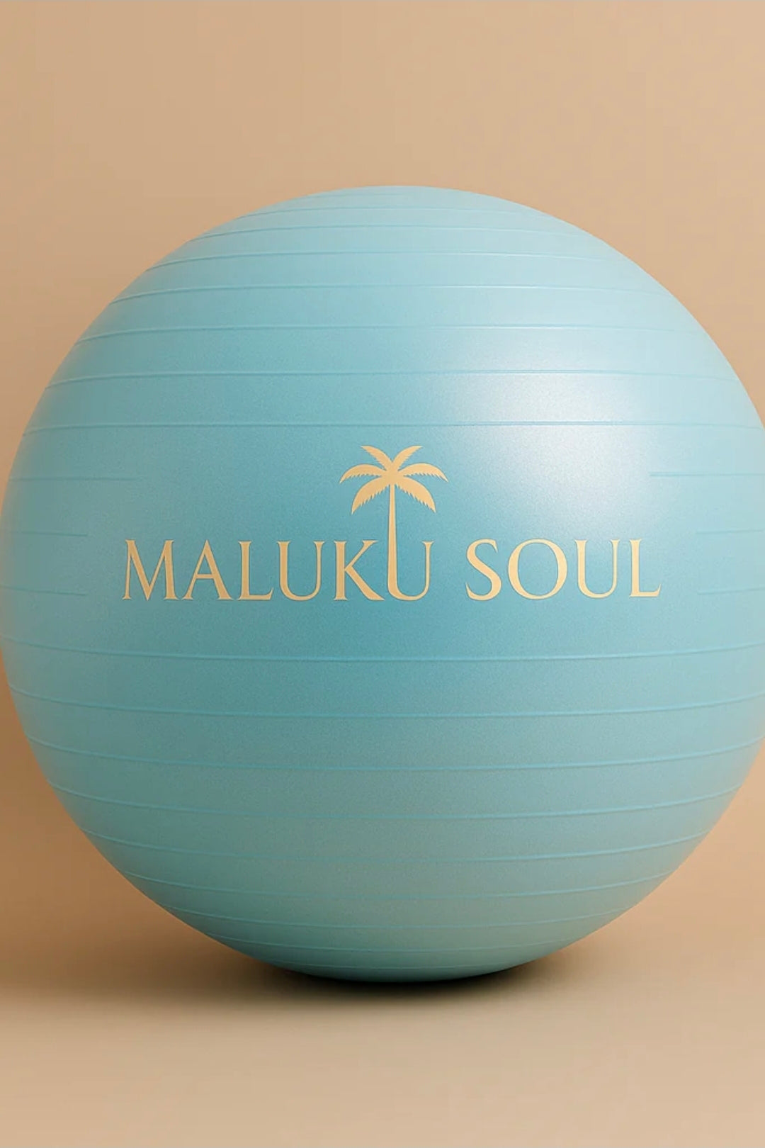 Pilates & Yoga bal 65 cm